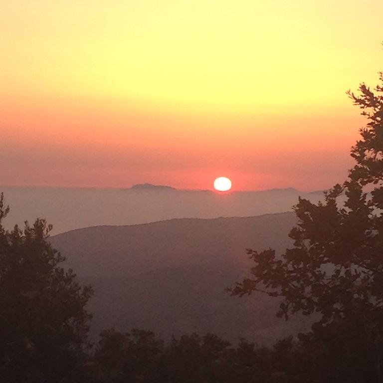 Al Casale Dei Nonni Bed and Breakfast Laureana Cilento Εξωτερικό φωτογραφία