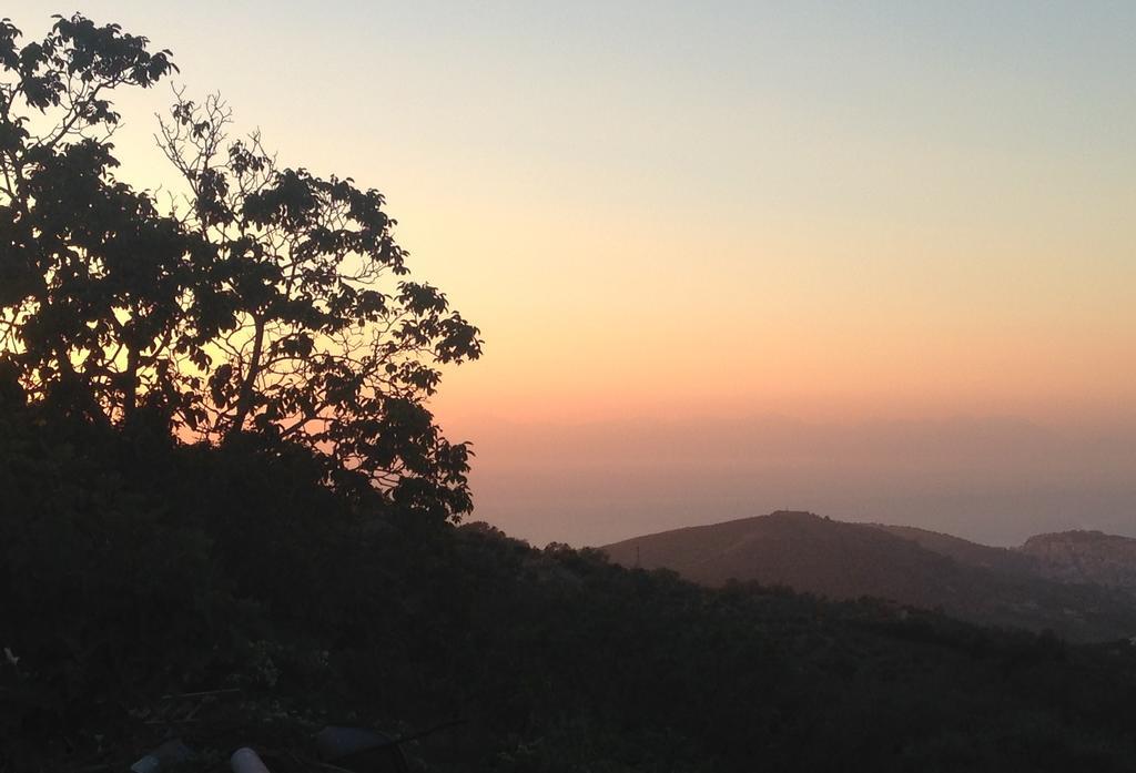 Al Casale Dei Nonni Bed and Breakfast Laureana Cilento Εξωτερικό φωτογραφία