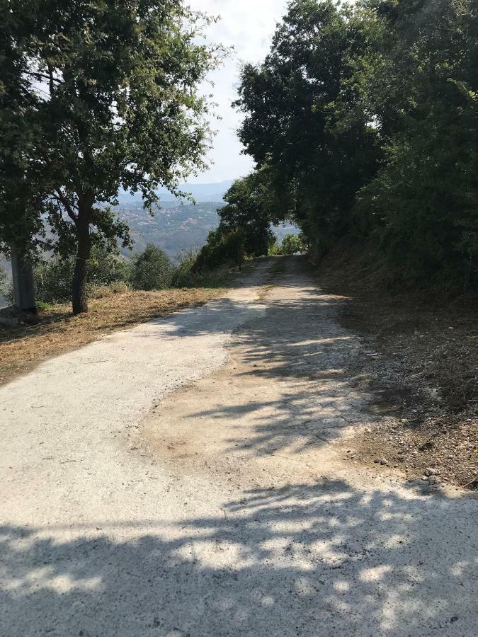 Al Casale Dei Nonni Bed and Breakfast Laureana Cilento Εξωτερικό φωτογραφία
